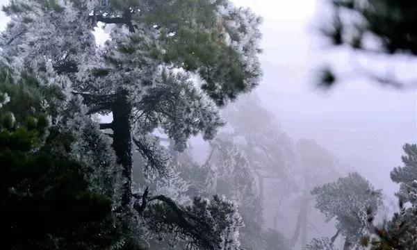 见缝插刀2无敌版